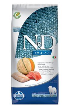 N&amp;D OCEAN DOG Adult Giant Salmon &amp; Cod &amp; Melon 12kg