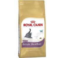 Royal Canin Feline BREED Kitten Br. Shorthair