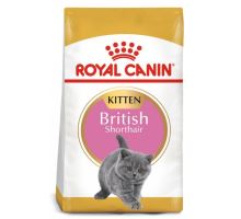 Royal Canin Feline BREED Kitten Br. Shorthair 10kg