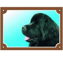 Barevná cedulka Pozor pes Novofundlanský pes černý