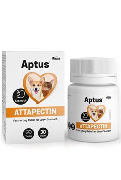 Aptus attapectin 30 tbl