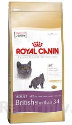 Royal canin Breed Feline British Shorthair