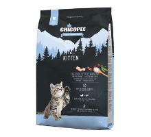 Chicopee Cat HNL Kitten