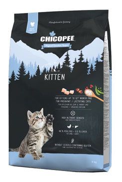 Chicopee Cat HNL Kitten