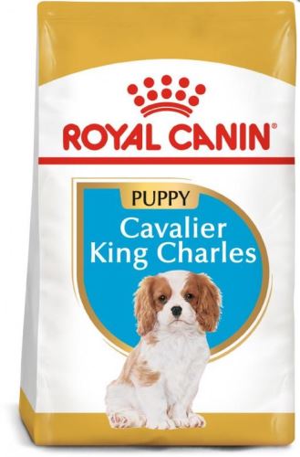 Royal Canin BREED Kavalír King Charles Junior 1,5kg