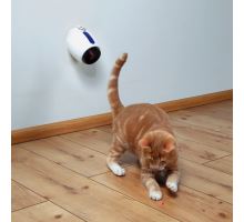 Laserová hračka pro kočky 11 cm, bílo/modrá