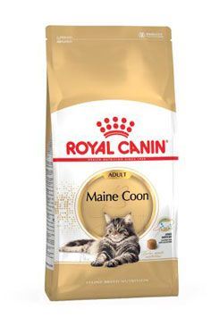 Royal canin Breed Feline Maine Coon