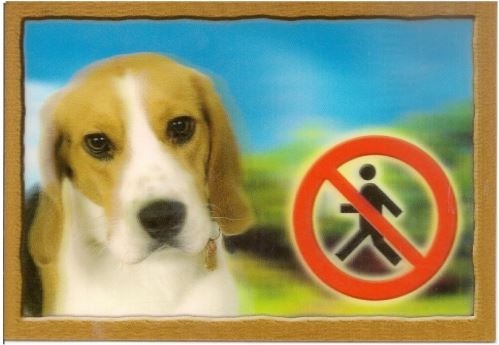 Cedulka 3D Pozor pes Beagle