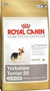 Royal Canin BREED Yorkshire Junior