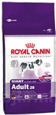 Royal canin Giant Adult 15kg