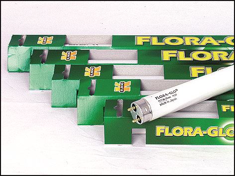 Zářivka Flora Glo T8 - 90 cm 30W