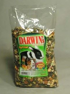Darwin morče,králík special