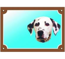 Barevná cedulka Pozor pes Dalmatin
