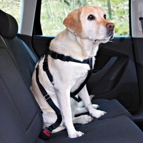 Postroj pes Bezpečnostní do auta