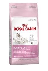 Royal Canin Feline Growth Baby Cat