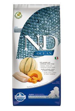 N&D OCEAN DOG Puppy M/L Codfish & Pumpkin & Melon