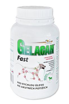 Gelacan Fast