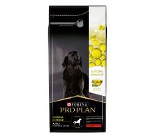 ProPlan Dog Adult Med&amp;Larg Defence hovězí 10kg
