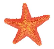 Barevné dekorativní hvězdice 1ks