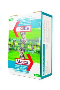Ataxxa Spot-on Dog L