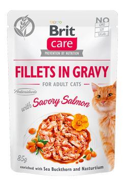 Brit Care Cat Fillets in Gravy
