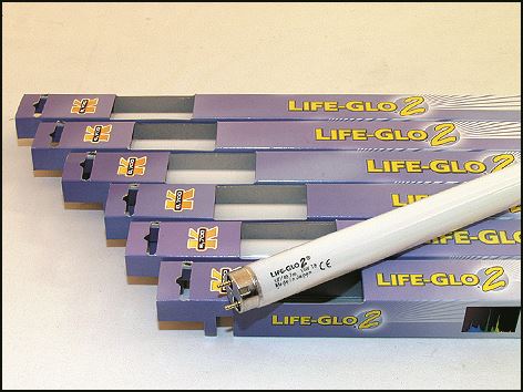 Zářivka Life Glo 2 T8 - 45 cm 15W