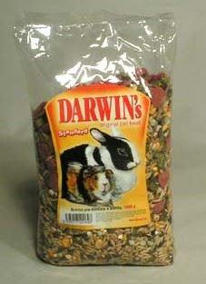 Darwin morče,králík standard