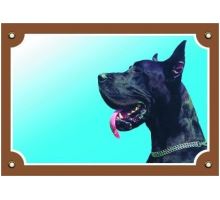 Barevná cedulka Pozor pes Doga černá