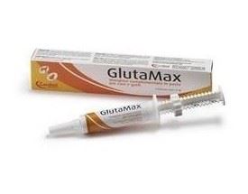 Glutamax pasta 15ml