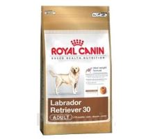 Royal canin Breed Labrador