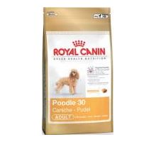 Royal Canin BREED Pudl