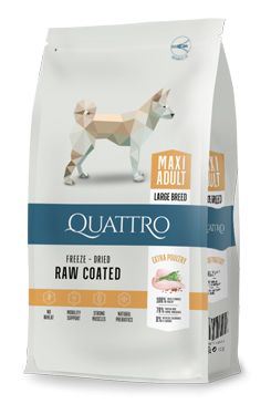 QUATTRO Dog Dry Premium Maxi Adult