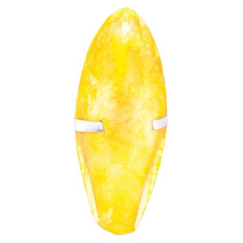 Sepiová kost - vanilka, čoko, citron 12cm