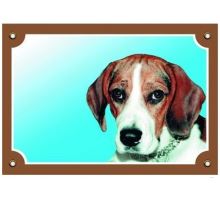 Barevná cedulka Pozor pes Beagle