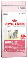 Royal canin Feline Kitten
