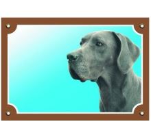 Barevná cedulka Pozor pes Doga modrá