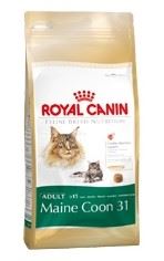Royal Canin Feline BREED Kitten Maine Coon