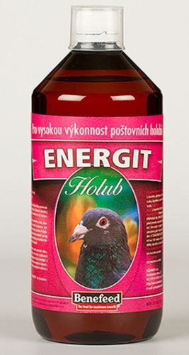 Energit pro holuby
