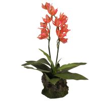 Lucky Reptile Orchidej - červená cca 40 cm