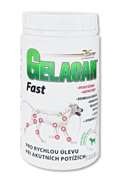 Gelacan Fast