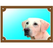 Barevná cedulka Pozor pes Labrador světlý