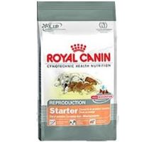 Royal canin Mini Starter M&B