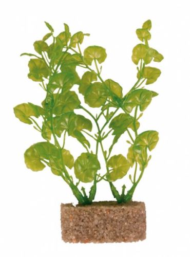 Plastové rostliny s podkladovým pískem 12 cm