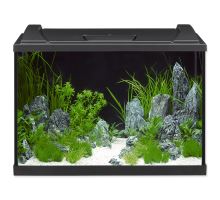 Akvárium set EHEIM Aquapro LED černé 84l